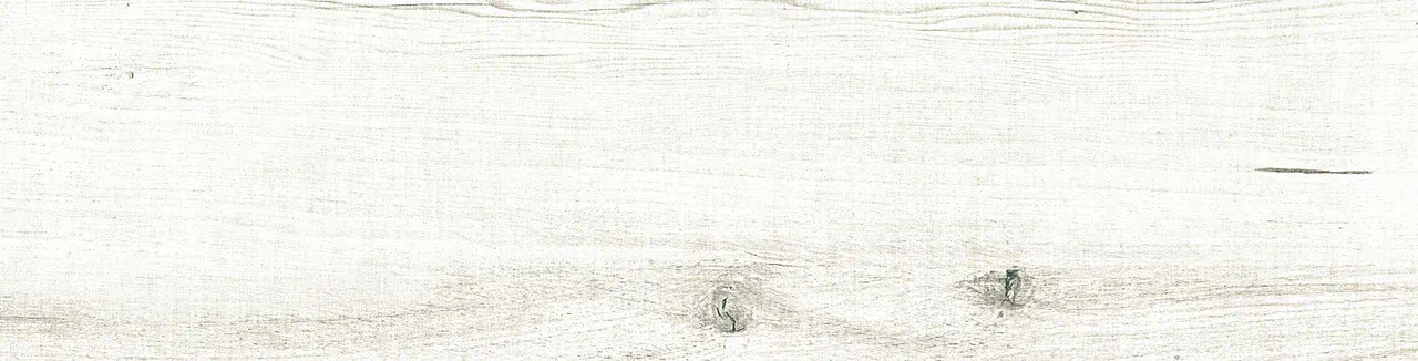 Керамогранит ZA 0005 ZARINA 60х15х08