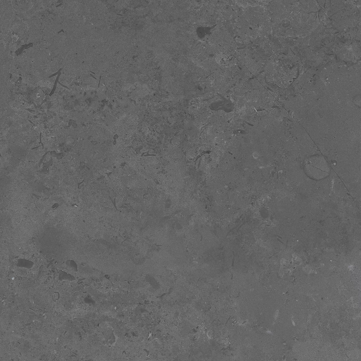 Керамогранит DD640820R Про Лаймстоун серый темный натуральный обрезной 60х60