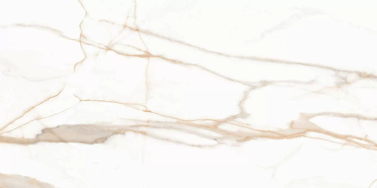 Керамогранит Calacatta Goddes Gold Белый Полированный 60х120