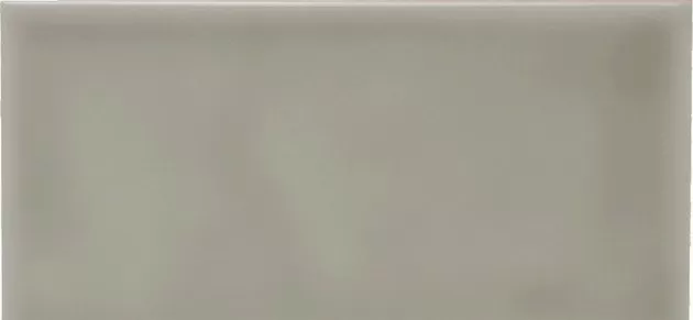 Плитка ADST1027 Liso Graystone 9,8x19,8