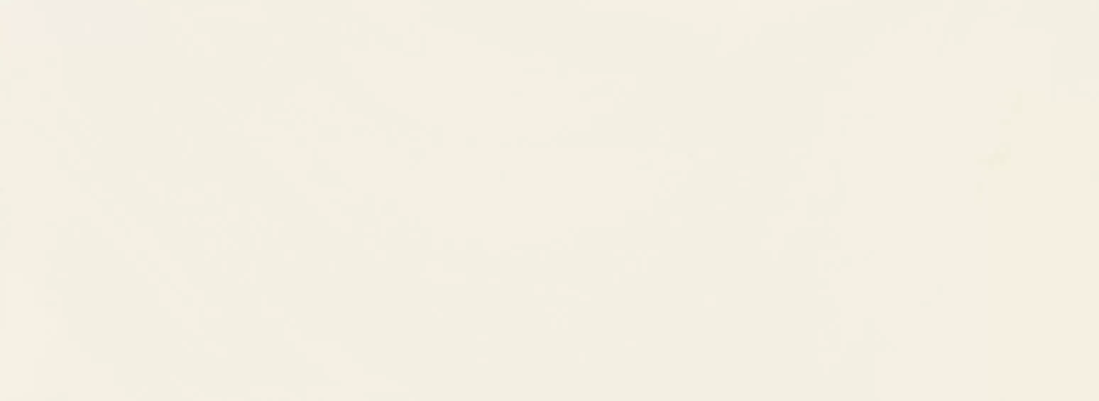 Плитка W-House of Tones white 32,8x89,8