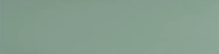 Керамогранит UF029 (мурена моноколор) матовый ректифицированный 120х29,5