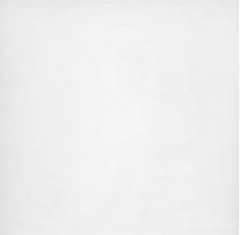 Керамогранит Ardesia Bianco 59.4x59.4