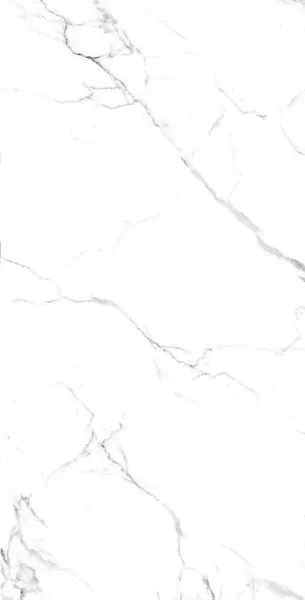 Керамогранит STATUARIO GRIS Glossy 60x120
