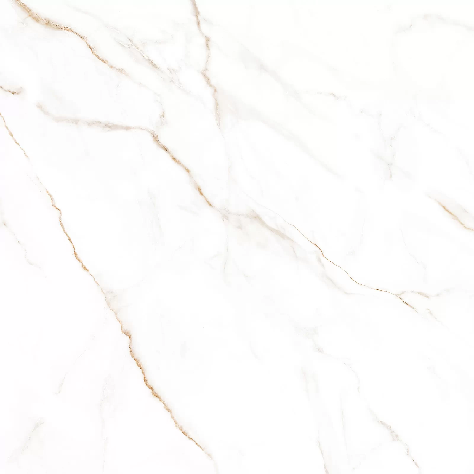 Керамогранит GFU04NCL04R Neo Calacatta матовый 600x600x9,5