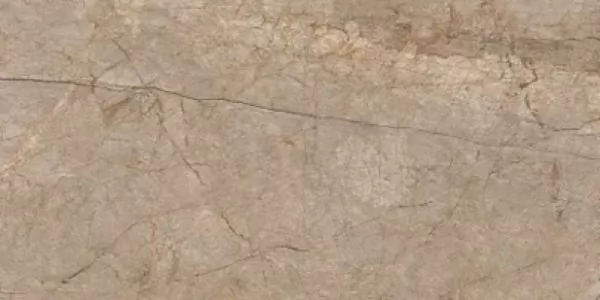 Керамогранит A17056 Silver roots серый ректификат 60x120