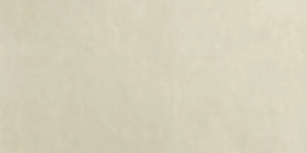 Плитка fOXC Bloom Beige 80x160
