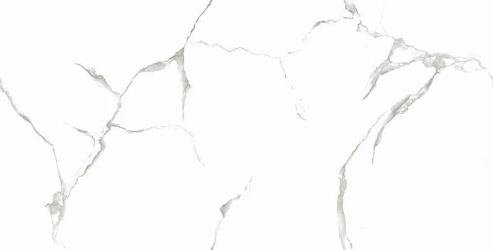 Керамогранит Silver White PGVT 60x120