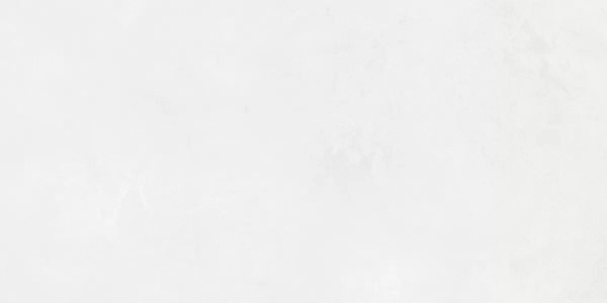 Плитка 48030R Evolution blanco матовый обрезной 40x80