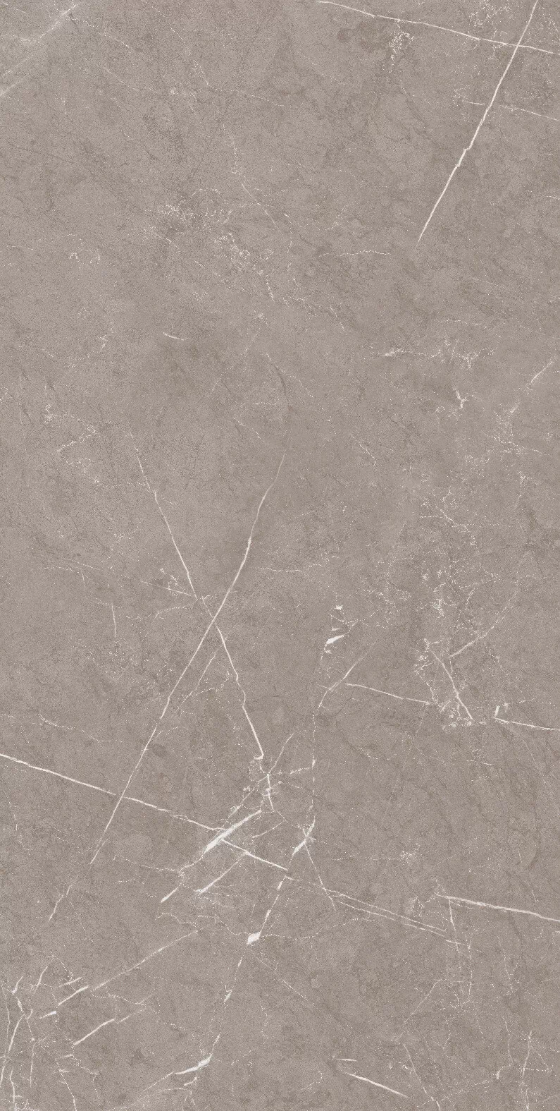 Керамогранит 1070 Monte Taupe Carv 120x60