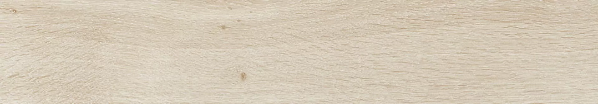 Керамогранит INGALLS ARCE 10x60