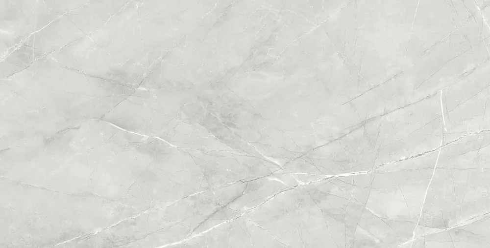 Керамогранит Silk Armani Silver Matt 60x120