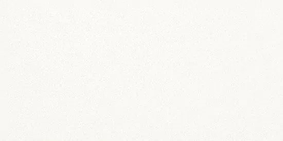 Керамогранит Black-White SUPERWHITE SMOOTH 50x100