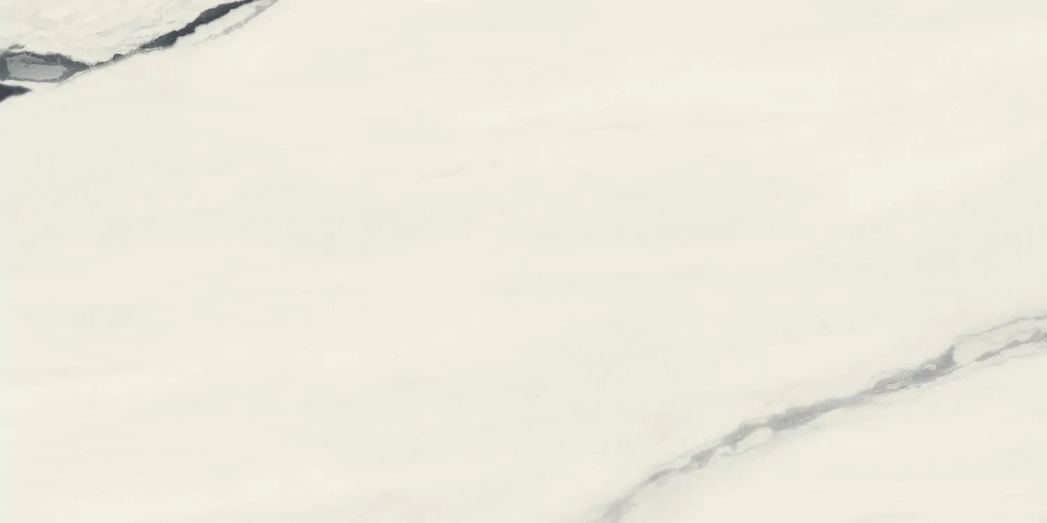 Керамогранит 610015000656 Forte dei Marmi Panda White Rett Cer 60x120