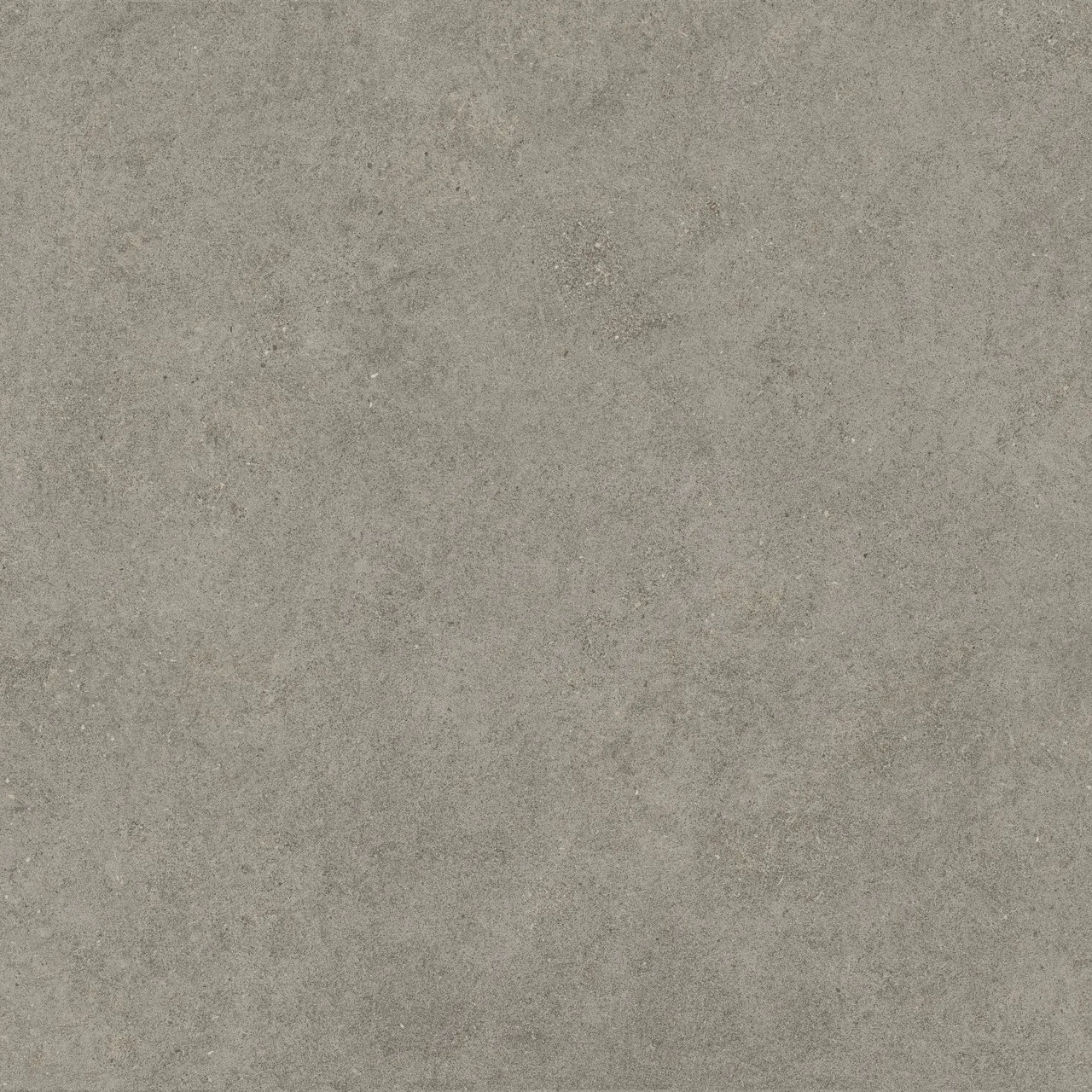 Керамогранит 600010002429 Forte dei Marmi Rock Lunar Grey Matt Rett 120x120