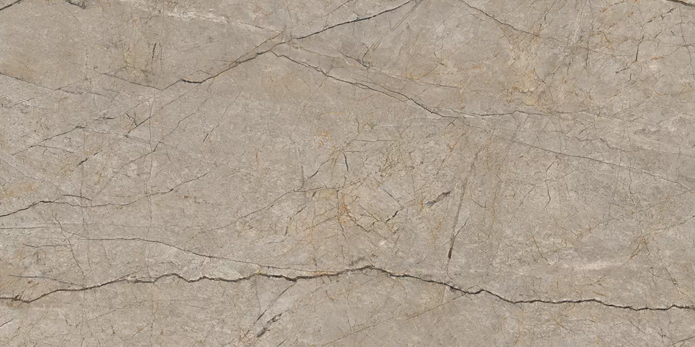 Керамогранит 17124 Silver Roots серый матовый ректификат 60x120