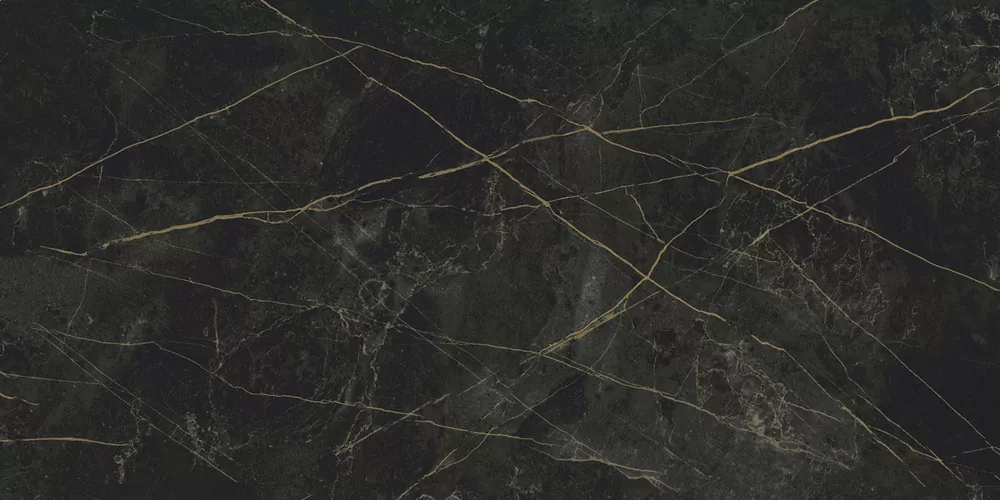 Керамогранит Granite SANDRA Black Olive / Гранит Сандра черно-оливковый LLR 120x60