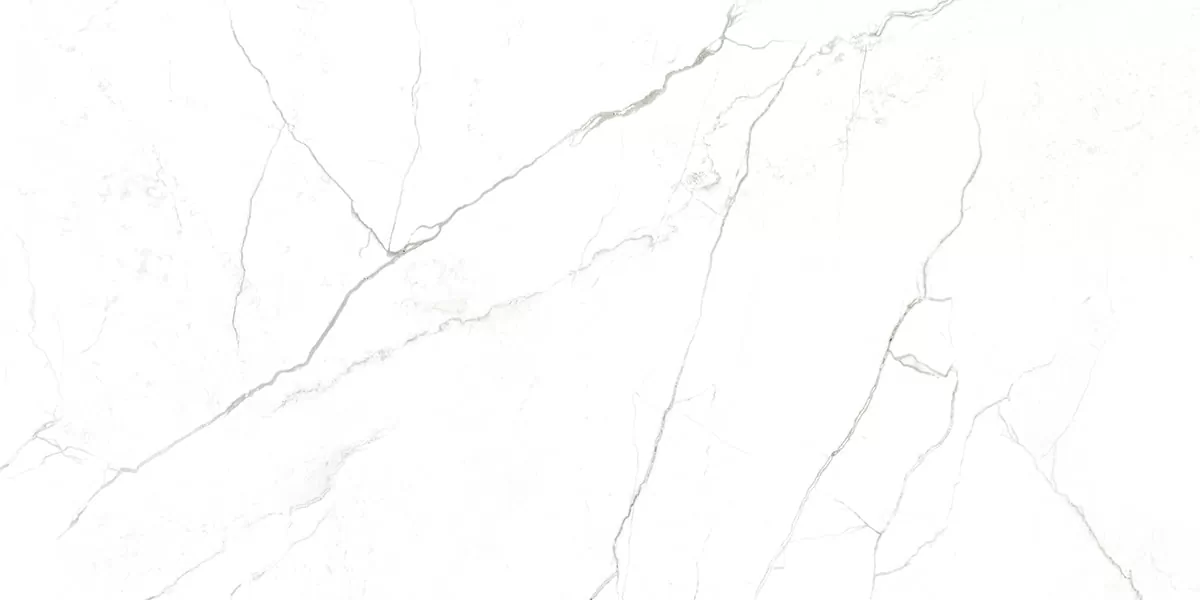 Керамогранит G391 Neiva Elegant MR 60x120