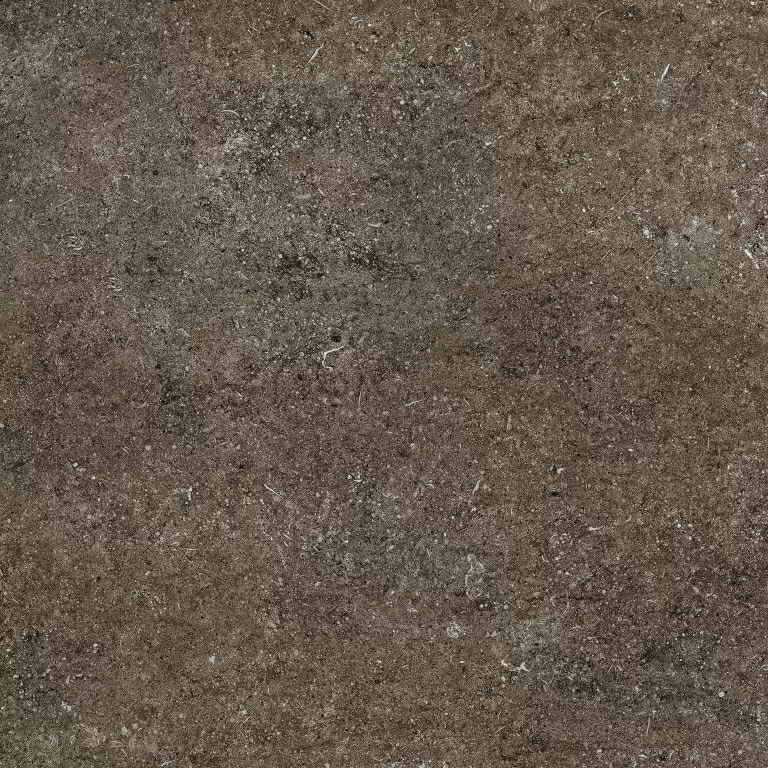 Керамогранит 768379 Sensi Brown Fossil Ret 80x80