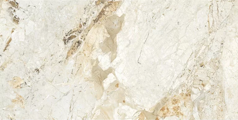 Керамогранит Breccia Pol. 60x120