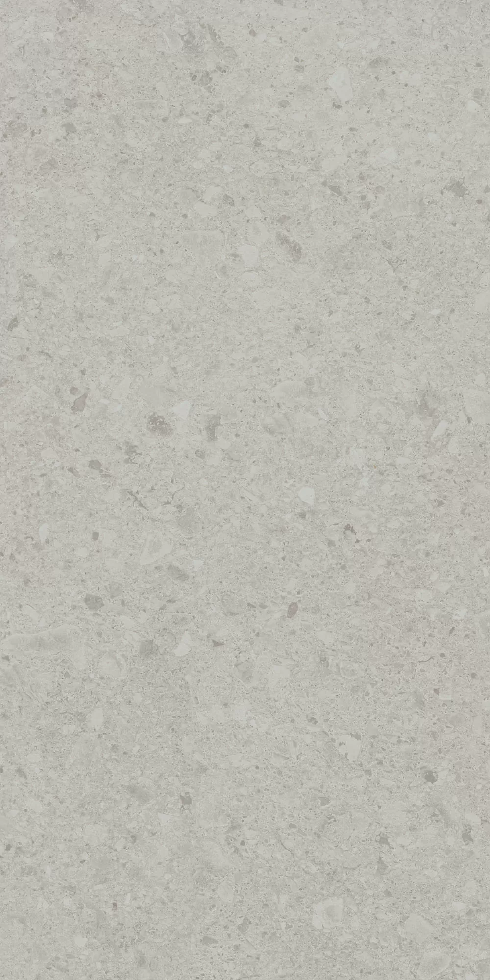 Керамогранит DD507620R Чеппо ди Гре серый светлый матовый обрезной 60x119,5x0,9