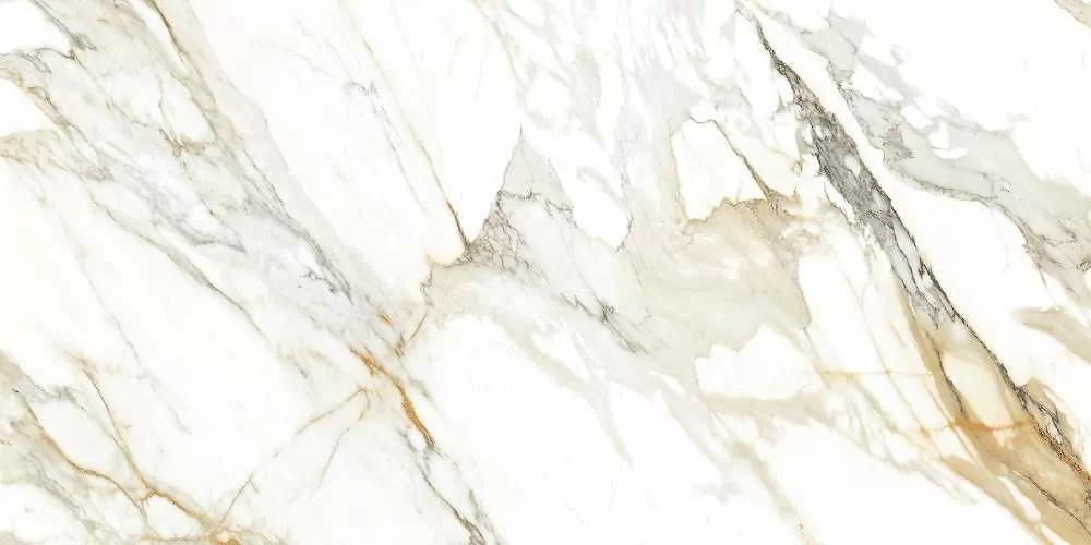 Керамогранит Calacata Paonazzo 1200x600