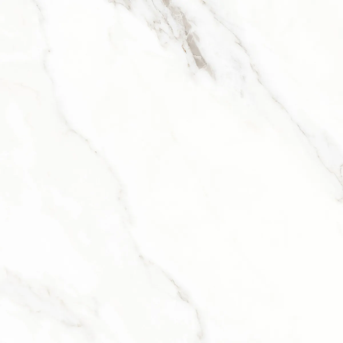 Керамогранит Calacatta Michael белый матовый 60х60