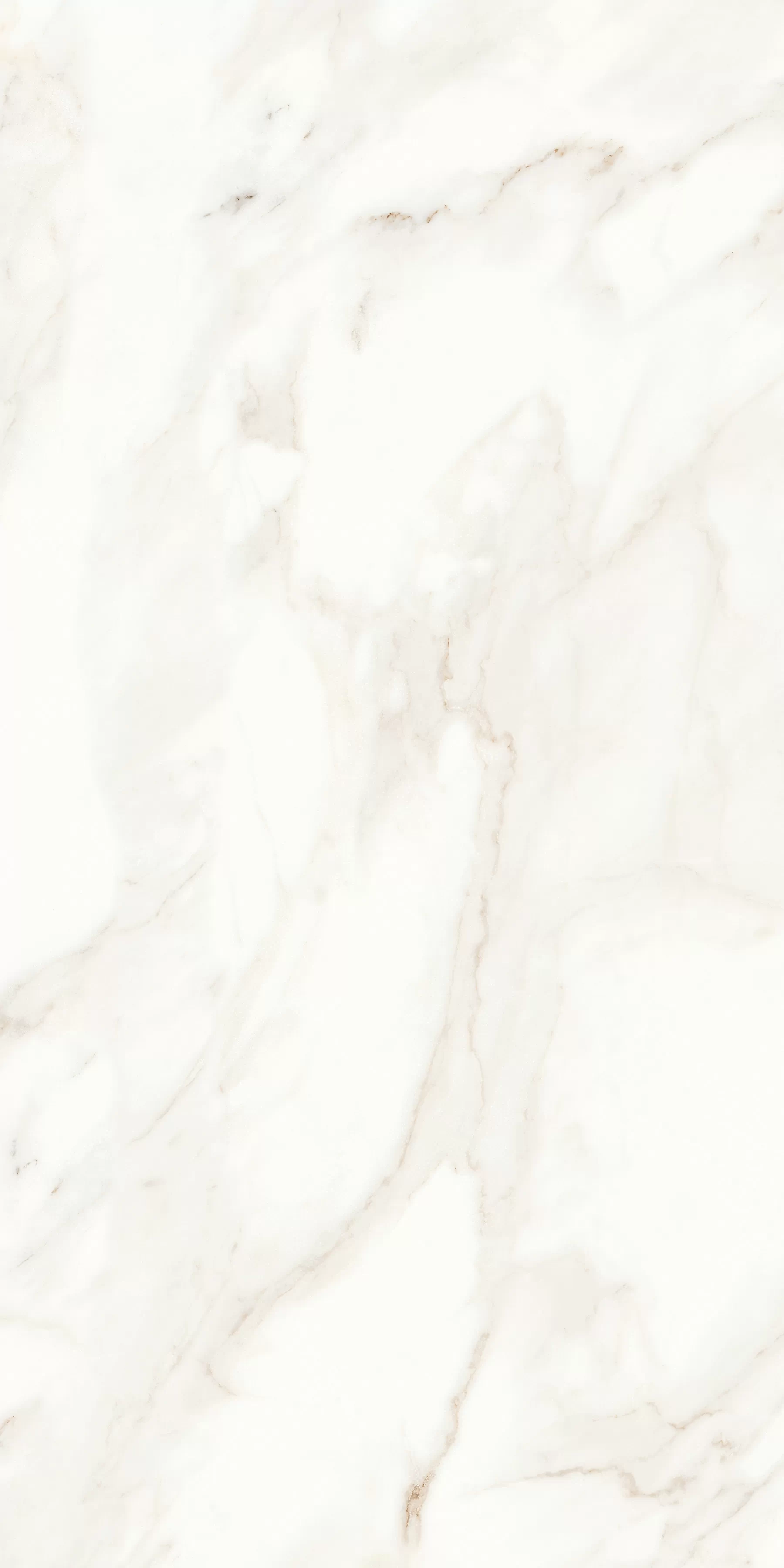 Керамогранит MPL-058623 Calacatta Polished 60x120