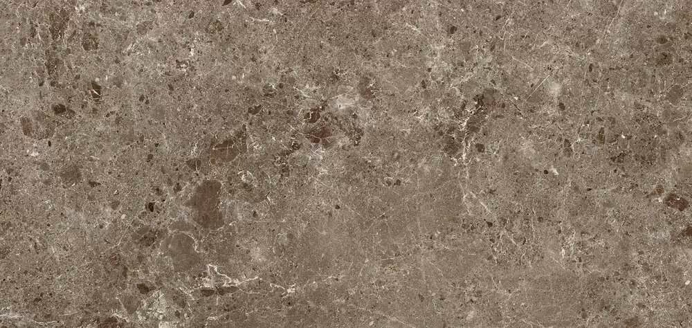 Керамогранит 78RC27P Coverlam Artic Moka Pulido 120x260