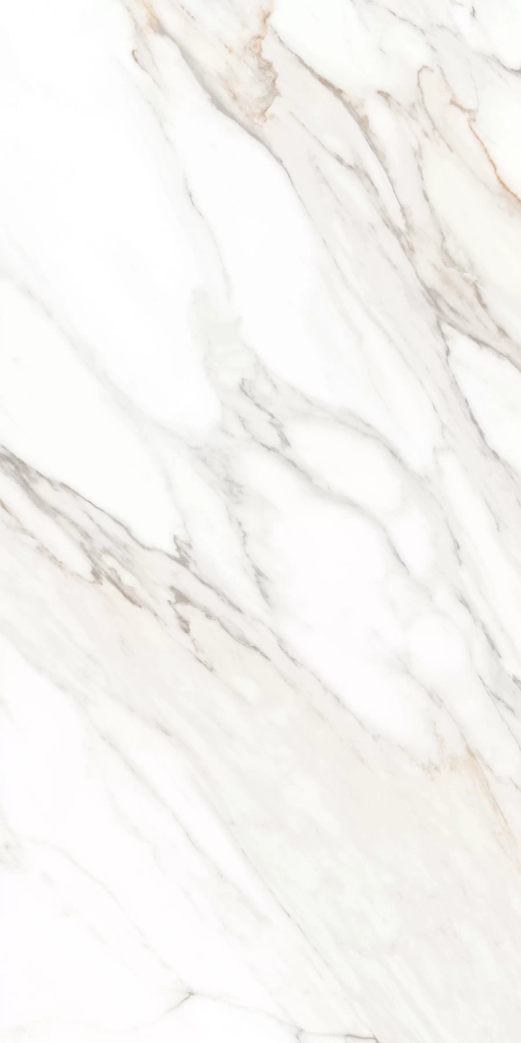 Керамогранит MPL-058630 Calacatta Gold Satin 60x120