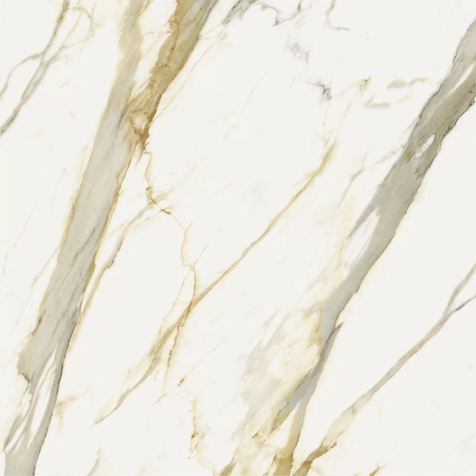 Керамогранит 600010002387 Stellaris Calacatta Gold Nat Ret 120x120