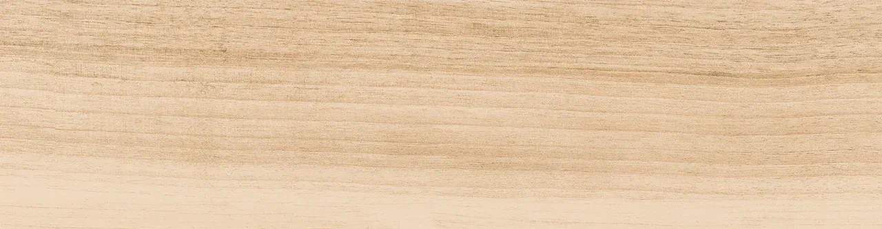 Керамогранит 0045 NATALINA 60х15х08