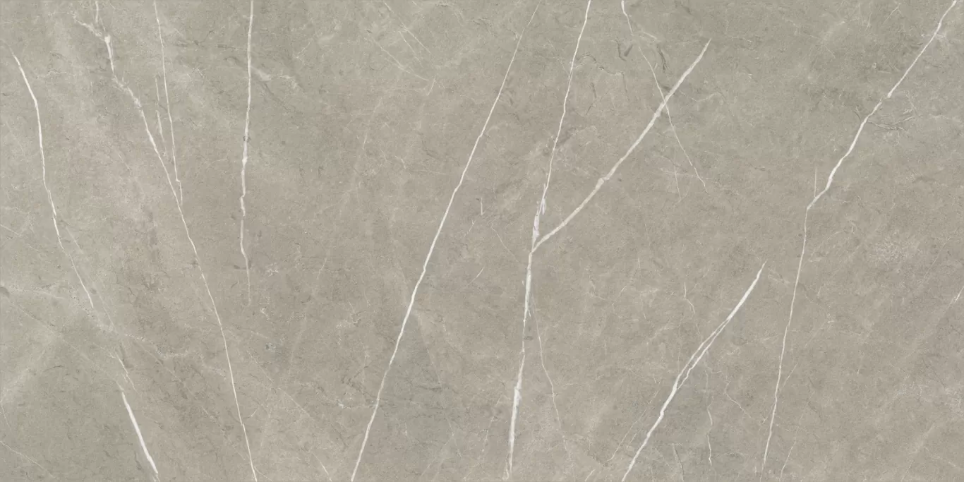 Керамогранит Eternal Taupe Natural 80x160