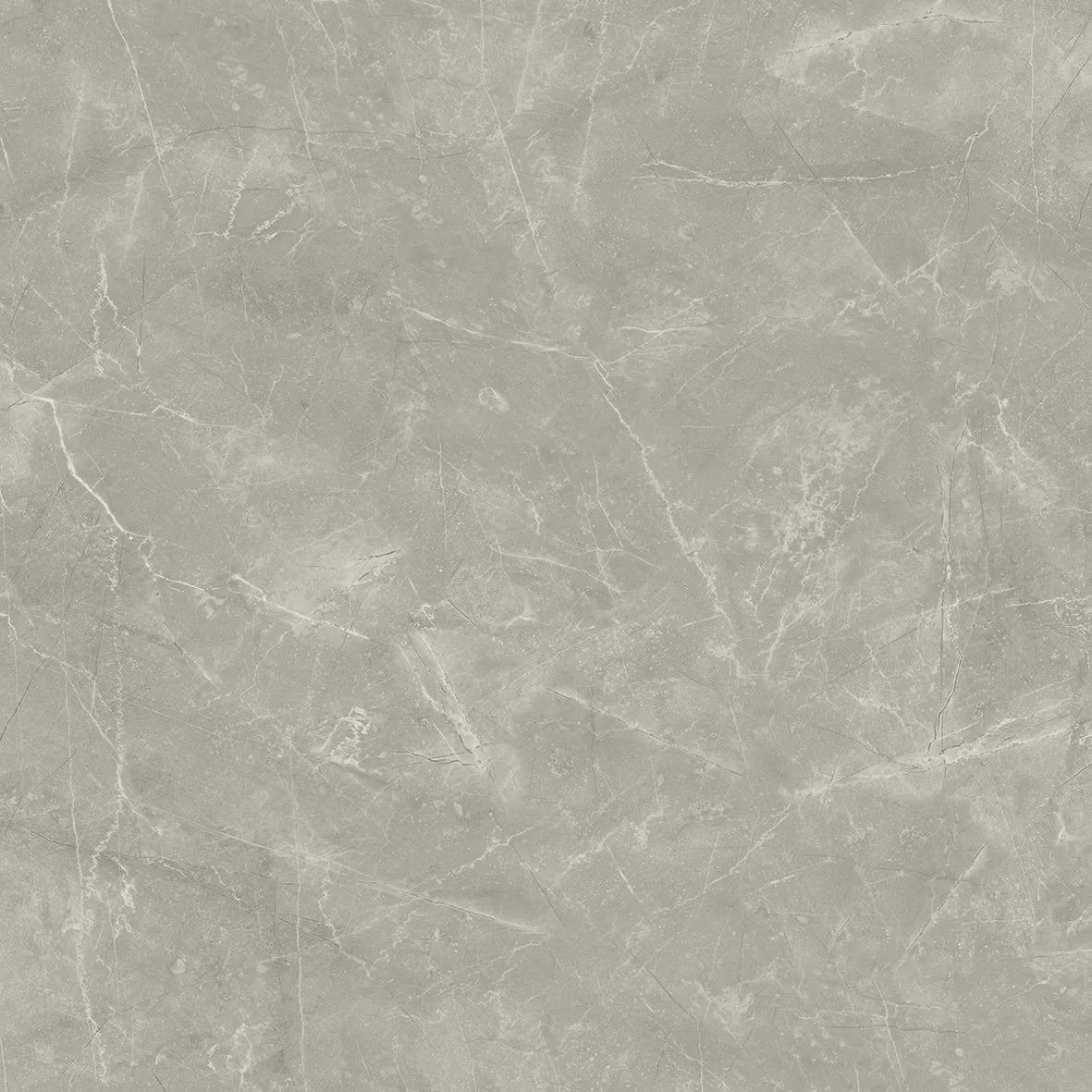 Керамогранит Wolf Grey 80х80