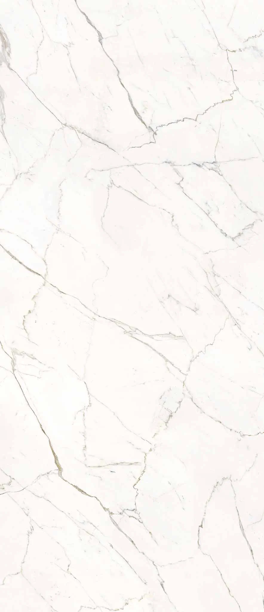 Керамогранит N9A2 Calacatta Statuarietto Lap RT 120x278