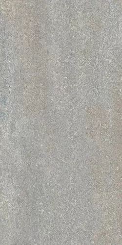 Керамогранит DD204300R Про Нордик серый светлый натуральный обрезной 30*60