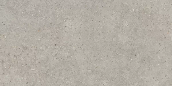 Керамогранит SG519920R Риккарди серый светлый матовый обрезной 60х119,5