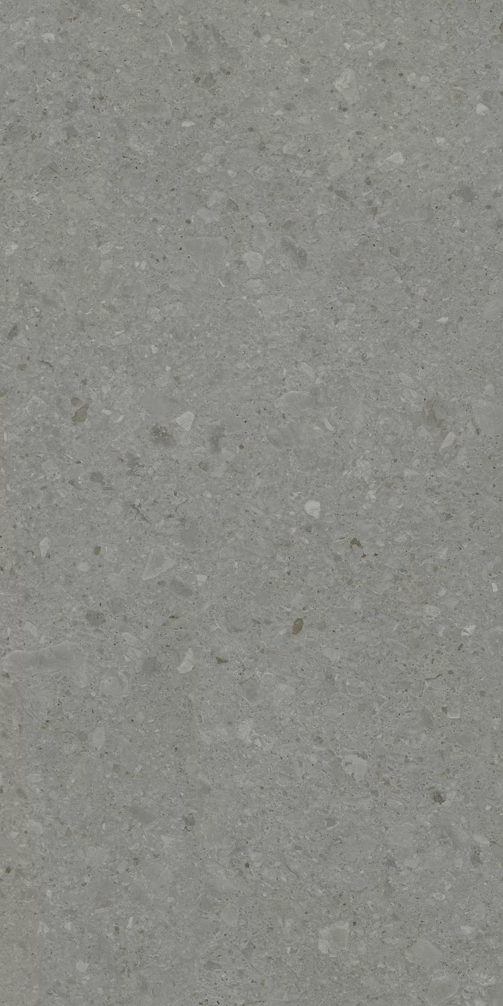 Керамогранит DD591500R Чеппо ди Гре серый тёмный матовый обрезной 119,5x238,5x1,1