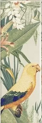 Плитка Tapis Jungle 10х30