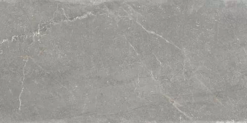 Керамогранит 454 Grey 60x120