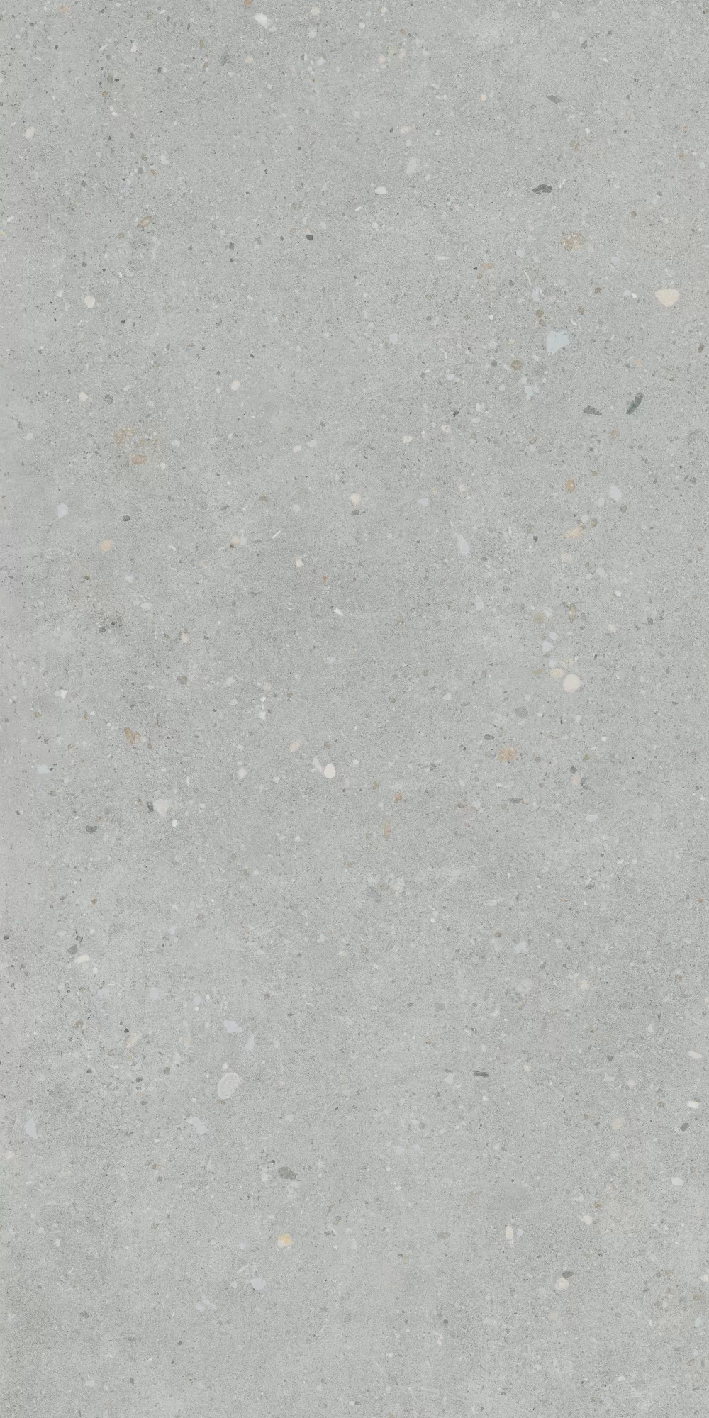 Керамогранит K947893R0001VTER Серый Матовый R10A Ректификат 60x120