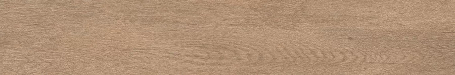 Керамогранит F4506M Forest Сhestnut Matt 20x120