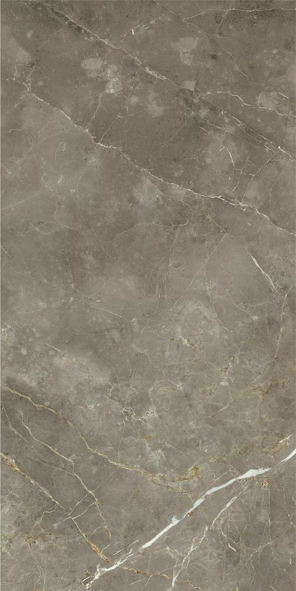 Керамогранит 610010002836 Stellaris Tuscania Grey Nat Ret 60x120