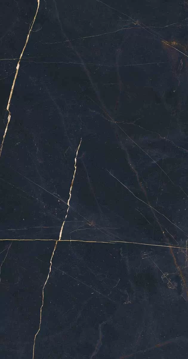 Керамогранит PF60011003 Precious Black Lux Ret 60x120