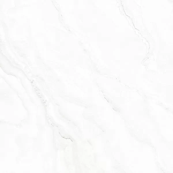 Керамогранит PRO 1008G Silver Onix 600x600