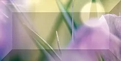 Плитка Бордюр рельефный Crocus br1020D286-1 20х10