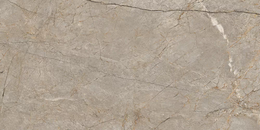 Керамогранит 17124 Silver Roots серый матовый ректификат 60x120