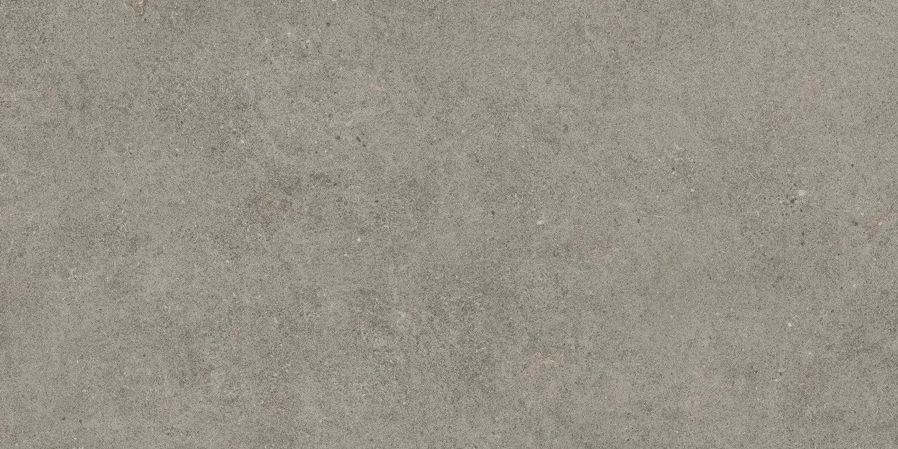 Керамогранит 610010005821 Forte dei Marmi Rock Lunar Grey Matt Rett 60x120