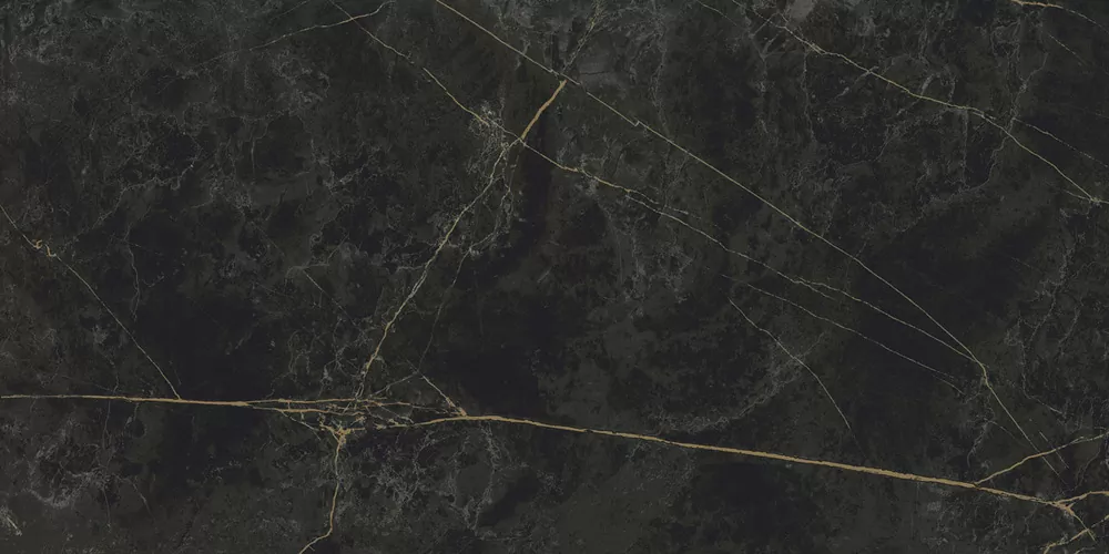 Керамогранит Granite SANDRA Black Olive / Гранит Сандра черно-оливковый LLR 120x60