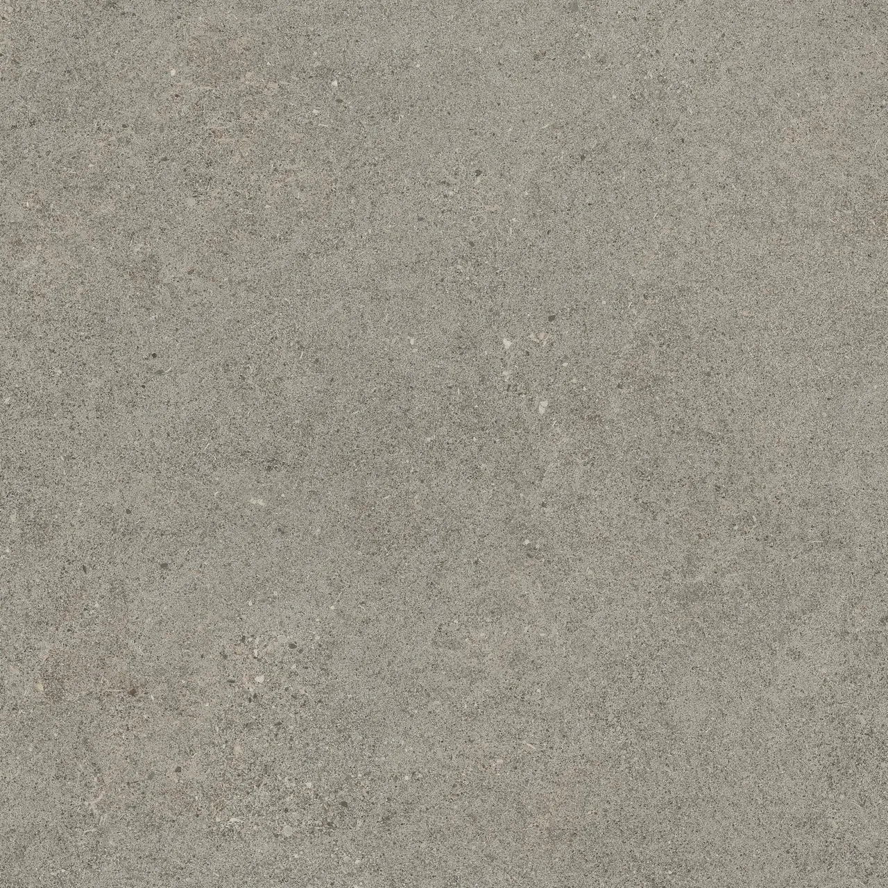 Керамогранит 610010005836 Forte dei Marmi Rock Lunar Grey Lastra 20mm 60x60